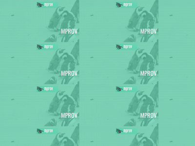 mprov.nl snapshot