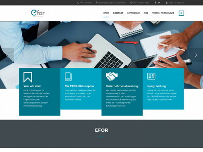 efor.consulting snapshot