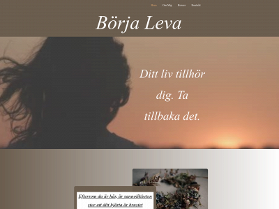 borjaleva.se snapshot