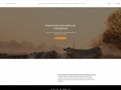 satelalamillo.es snapshot