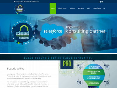 cloudseguro.co snapshot