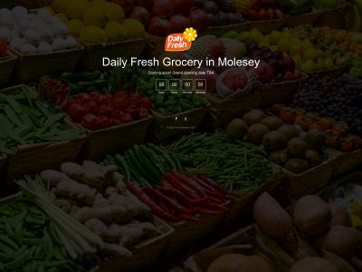 dailyfreshmolesey.co.uk snapshot