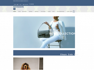 monisims.com snapshot