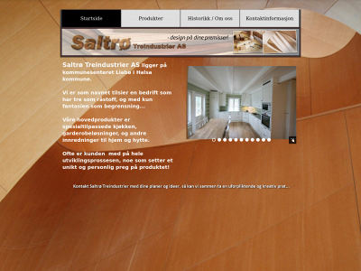 saltrotre.no snapshot