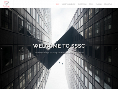 gssscgroup.com snapshot