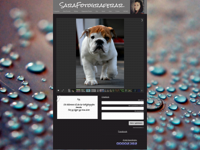 sarafotograferar.se snapshot