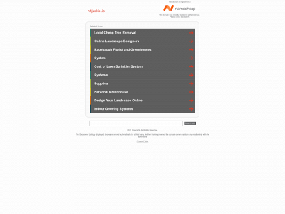 nftjunkie.io snapshot