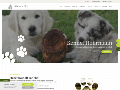 kennelhohrmann.dk snapshot