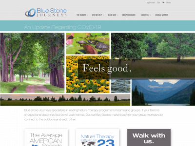 bluestonejourneys.com snapshot