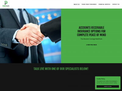 payarinsurance.com snapshot