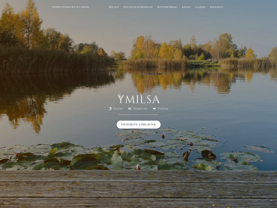 ymilsa.lt snapshot