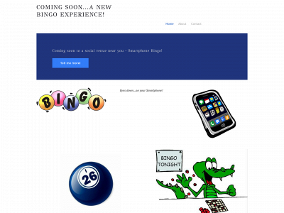 bingosmartphone.weebly.com snapshot