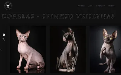 dorelas.lt snapshot
