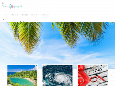 tamikahandfield.com snapshot