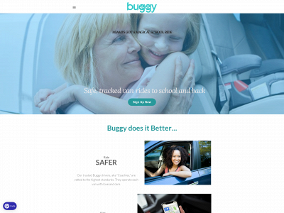 www.ridebuggy.com snapshot