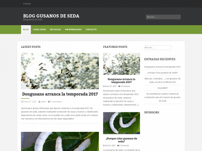 dongusano.es snapshot