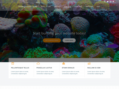 undergroundcorals.com snapshot