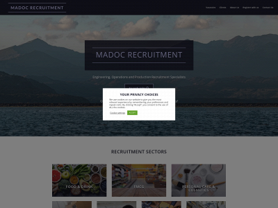 madocrecruitment.com snapshot