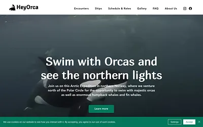 hey-orca.com snapshot