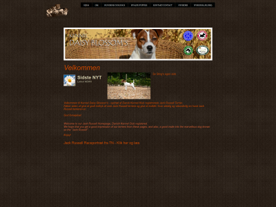 kennel-daisy-blossoms.dk snapshot