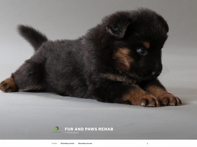 furandpawsrehab.dk snapshot