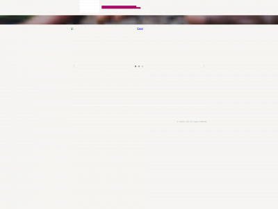 joyluckstudio.com snapshot