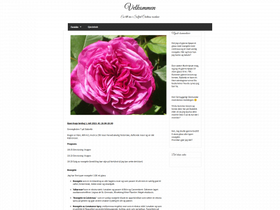 solfrid-cristina.com snapshot