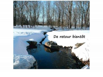 gestion-notabene.ca snapshot