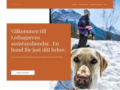 ledsagaren.com snapshot