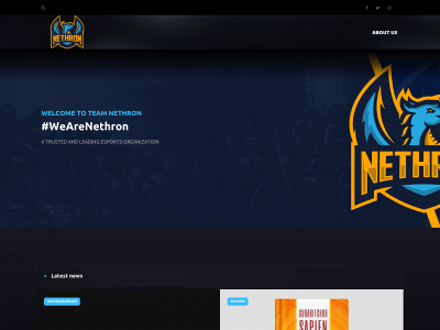 teamnethron.com snapshot