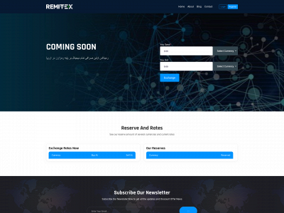 remitex.dk snapshot