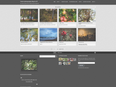 lamarophotography.com snapshot