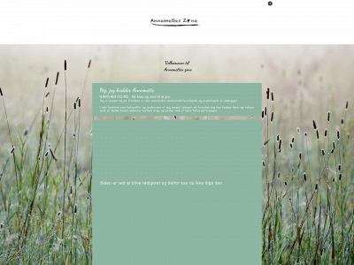 annemetteszone.dk snapshot