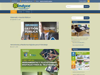 indyce.com.pe snapshot