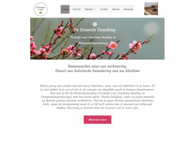 de-essentiecoaching.nl snapshot