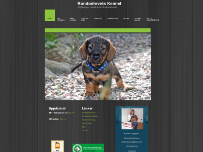 rondodrevets.se snapshot