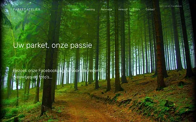 parketatelier.be snapshot