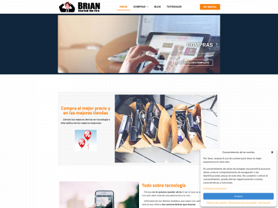 brianstartedthefire.com snapshot