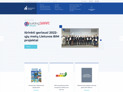 skaitmeninestatyba.lt snapshot