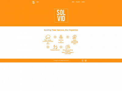 solvid.be snapshot