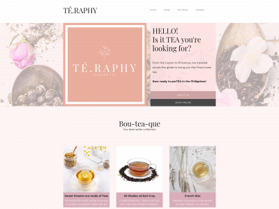 te-raphy.com snapshot
