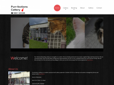 purrfectionscattery.com snapshot