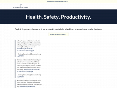 surfsongconsulting.com snapshot