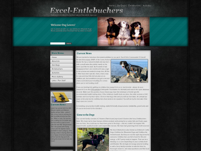 excelentlebucher.com snapshot