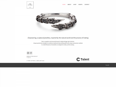 tobycotterill.co.uk snapshot