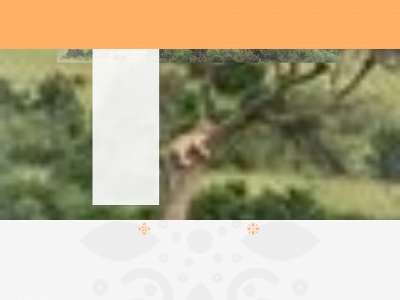 djurensbudskap.se snapshot