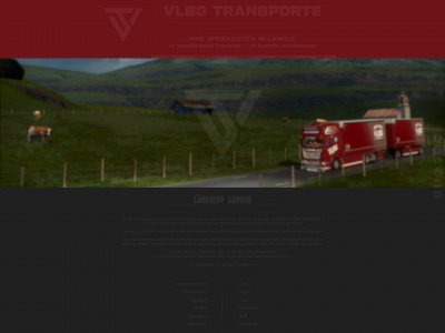 vlbg-group.com snapshot