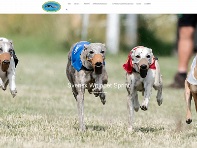 svenskwhippetsprint.se snapshot