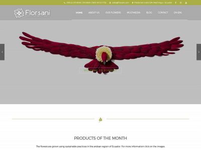 florsani.com snapshot