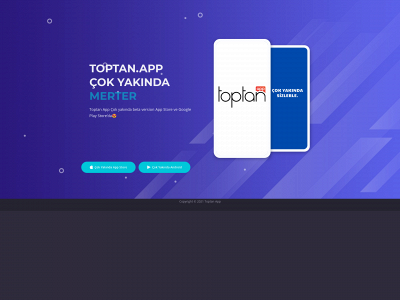 toptan.app snapshot